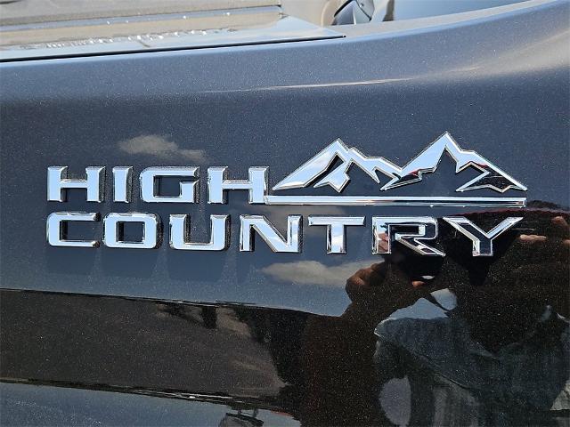 2025 Chevrolet Silverado 2500 HD Vehicle Photo in EASTLAND, TX 76448-3020