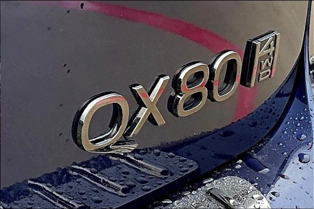 2025 INFINITI QX80 Vehicle Photo in Grapevine, TX 76051