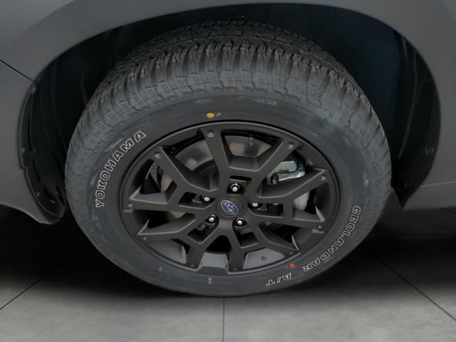 2025 Subaru Crosstrek Vehicle Photo in Green Bay, WI 54304