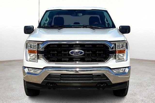 2021 Ford F-150 Vehicle Photo in San Antonio, TX 78230