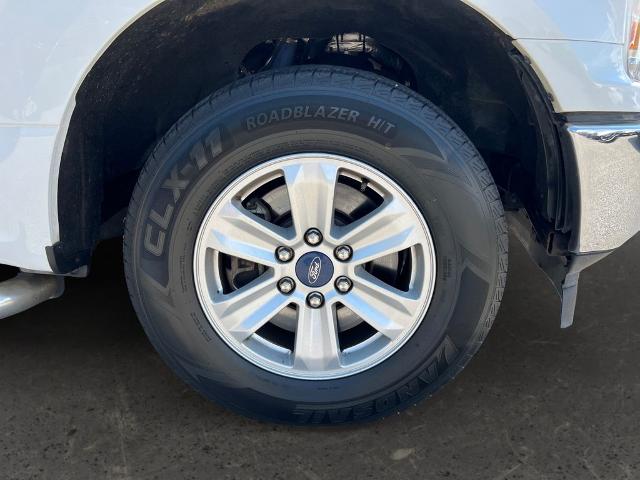 2019 Ford F-150 Vehicle Photo in Brunswick, GA 31525