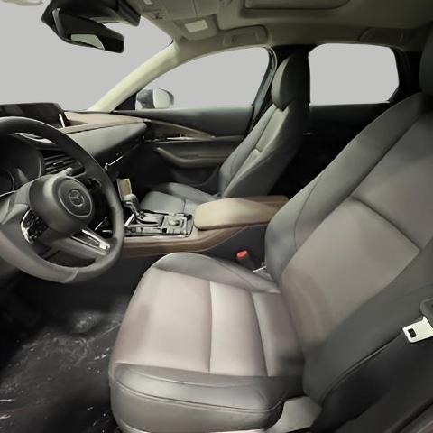 2025 Mazda CX-30 Vehicle Photo in Green Bay, WI 54304