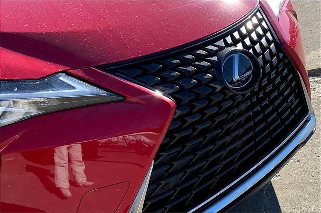 2020 Lexus UX Vehicle Photo in KANSAS CITY, MO 64114-4545