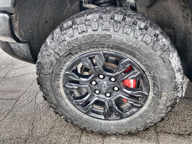 2023 Chevrolet Silverado 1500 Vehicle Photo in WILLIAMSVILLE, NY 14221-2883