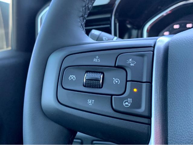 2025 GMC Sierra 1500 Vehicle Photo in BEAUFORT, SC 29906-4218