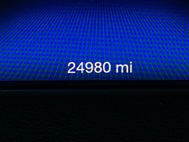 2019 Maserati Levante Vehicle Photo in Appleton, WI 54913