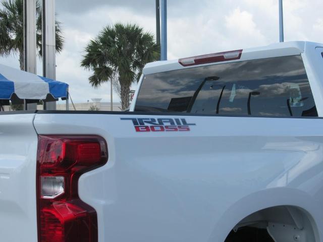 2025 Chevrolet Silverado 1500 Vehicle Photo in LEESBURG, FL 34788-4022