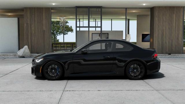 2025 BMW M2 Vehicle Photo in GRAPEVINE, TX 76051