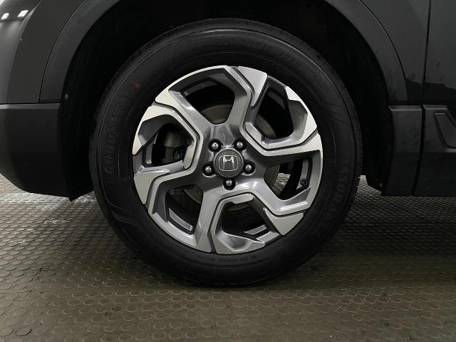 2019 Honda CR-V Vehicle Photo in Appleton, WI 54913