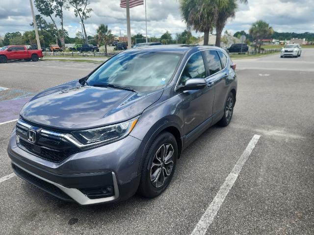 2020 Honda CR-V Vehicle Photo in Savannah, GA 31419