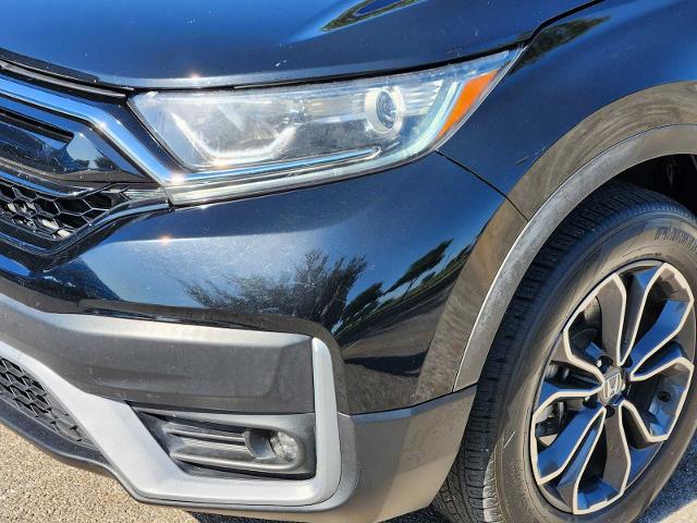 2020 Honda CR-V Vehicle Photo in DENTON, TX 76210-9321