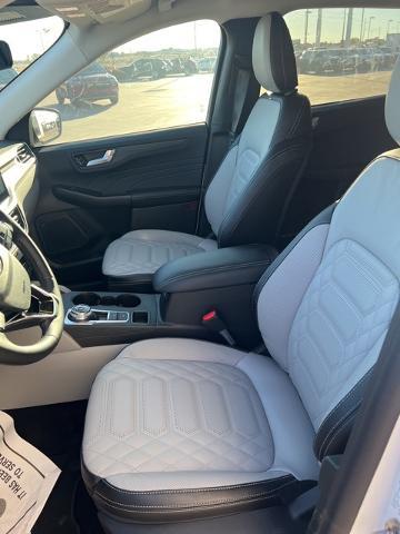 2024 Ford Escape Vehicle Photo in Winslow, AZ 86047-2439
