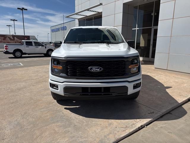 2025 Ford F-150 Vehicle Photo in Winslow, AZ 86047-2439