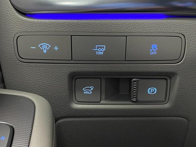 2024 Hyundai PALISADE Vehicle Photo in Appleton, WI 54913