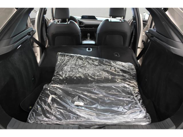 2023 Mazda CX-30 Vehicle Photo in Green Bay, WI 54304