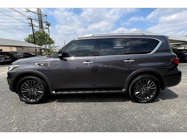 2024 INFINITI QX80 Vehicle Photo in San Antonio, TX 78230