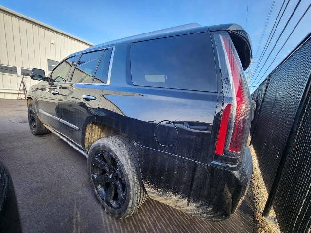 2019 Cadillac Escalade Vehicle Photo in MADISON, WI 53713-3220