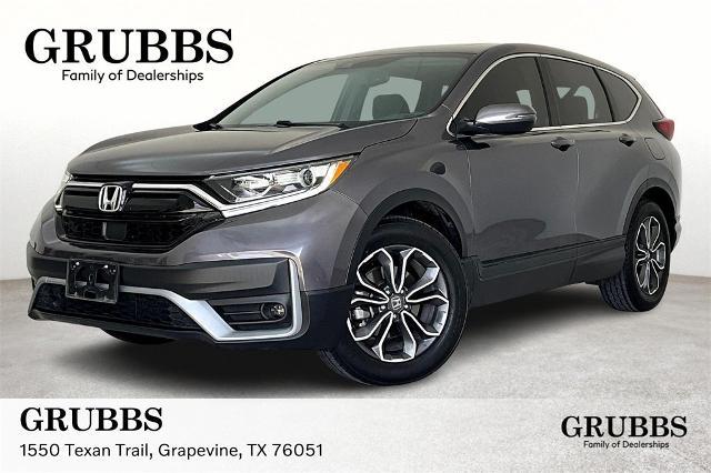 2022 Honda CR-V Vehicle Photo in San Antonio, TX 78230
