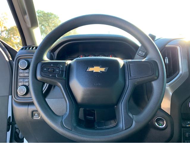 2025 Chevrolet Silverado 1500 Vehicle Photo in BEAUFORT, SC 29906-4218