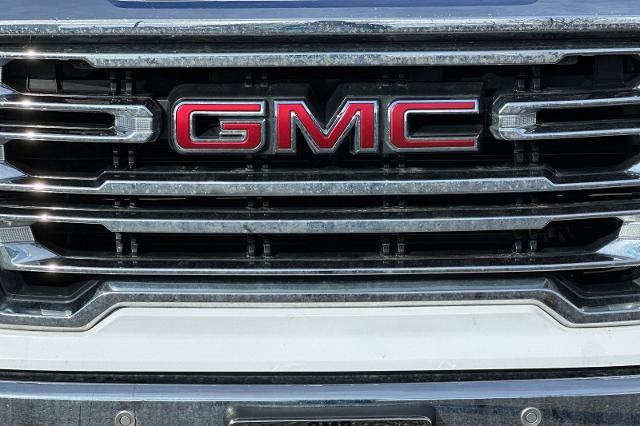 2020 GMC Sierra 1500 Vehicle Photo in SPOKANE, WA 99202-2191