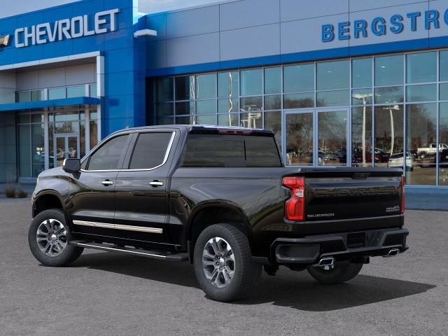 2025 Chevrolet Silverado 1500 Vehicle Photo in APPLETON, WI 54914-4656