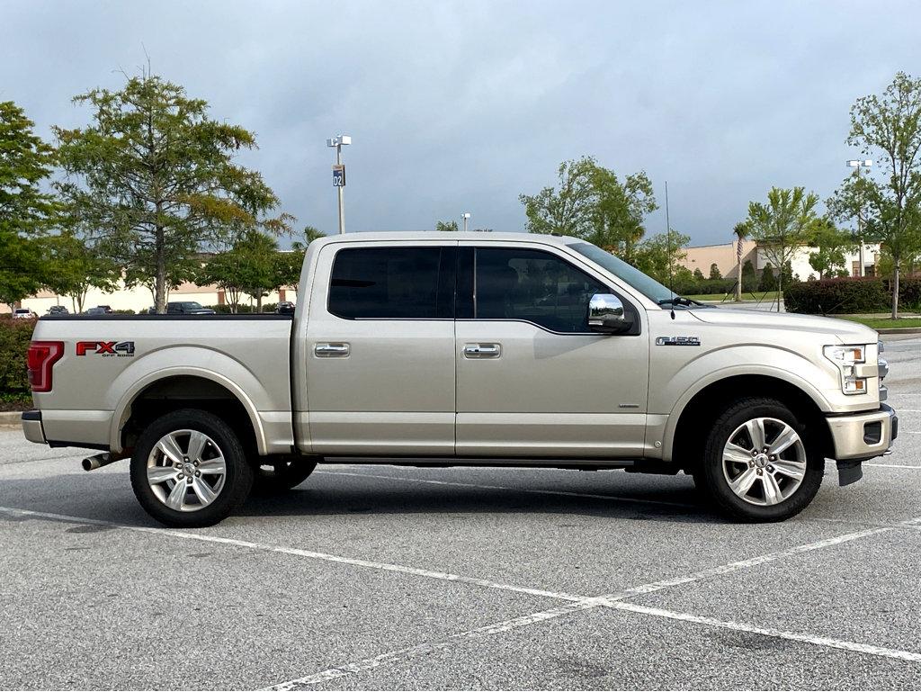 2017 Ford F-150 Vehicle Photo in POOLER, GA 31322-3252
