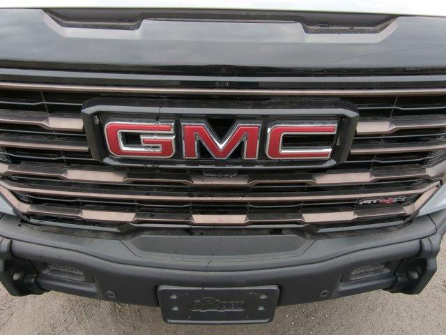 2025 GMC Sierra 1500 Vehicle Photo in ALBERTVILLE, AL 35950-0246