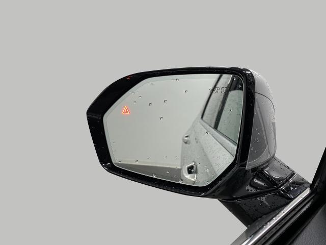 2024 Hyundai PALISADE Vehicle Photo in Appleton, WI 54913