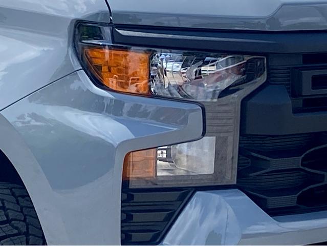 2025 Chevrolet Silverado 1500 Vehicle Photo in BEAUFORT, SC 29906-4218
