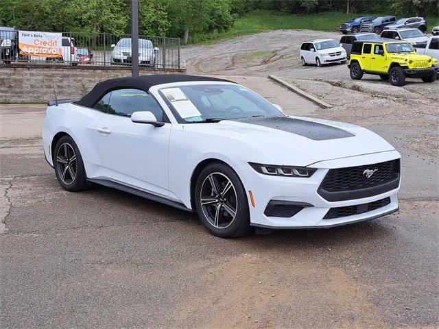 2024 Ford Mustang Vehicle Photo in MILFORD, OH 45150-1684
