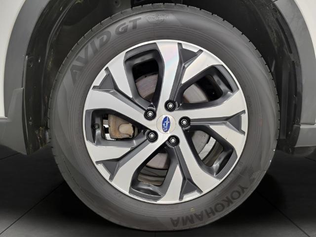 2022 Subaru Outback Vehicle Photo in Green Bay, WI 54304