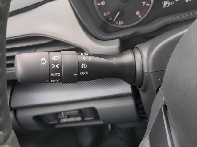 2025 Subaru Crosstrek Vehicle Photo in Green Bay, WI 54304