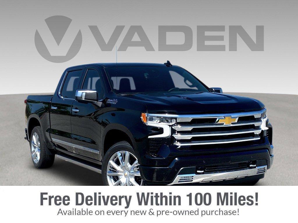 2025 Chevrolet Silverado 1500 Vehicle Photo in BEAUFORT, SC 29906-4218