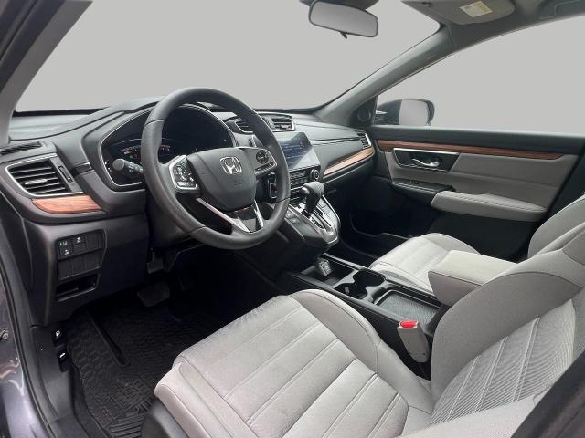 2019 Honda CR-V Vehicle Photo in Appleton, WI 54914