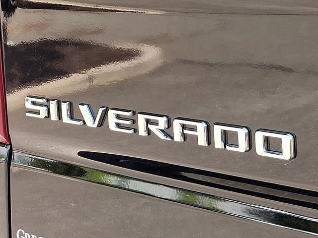 2024 Chevrolet Silverado 1500 Vehicle Photo in PAWLING, NY 12564-3219