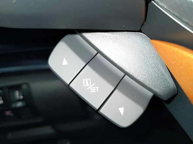 2024 Subaru Forester Vehicle Photo in Green Bay, WI 54304