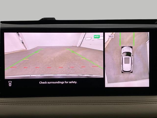 2025 INFINITI QX60 Vehicle Photo in Appleton, WI 54913