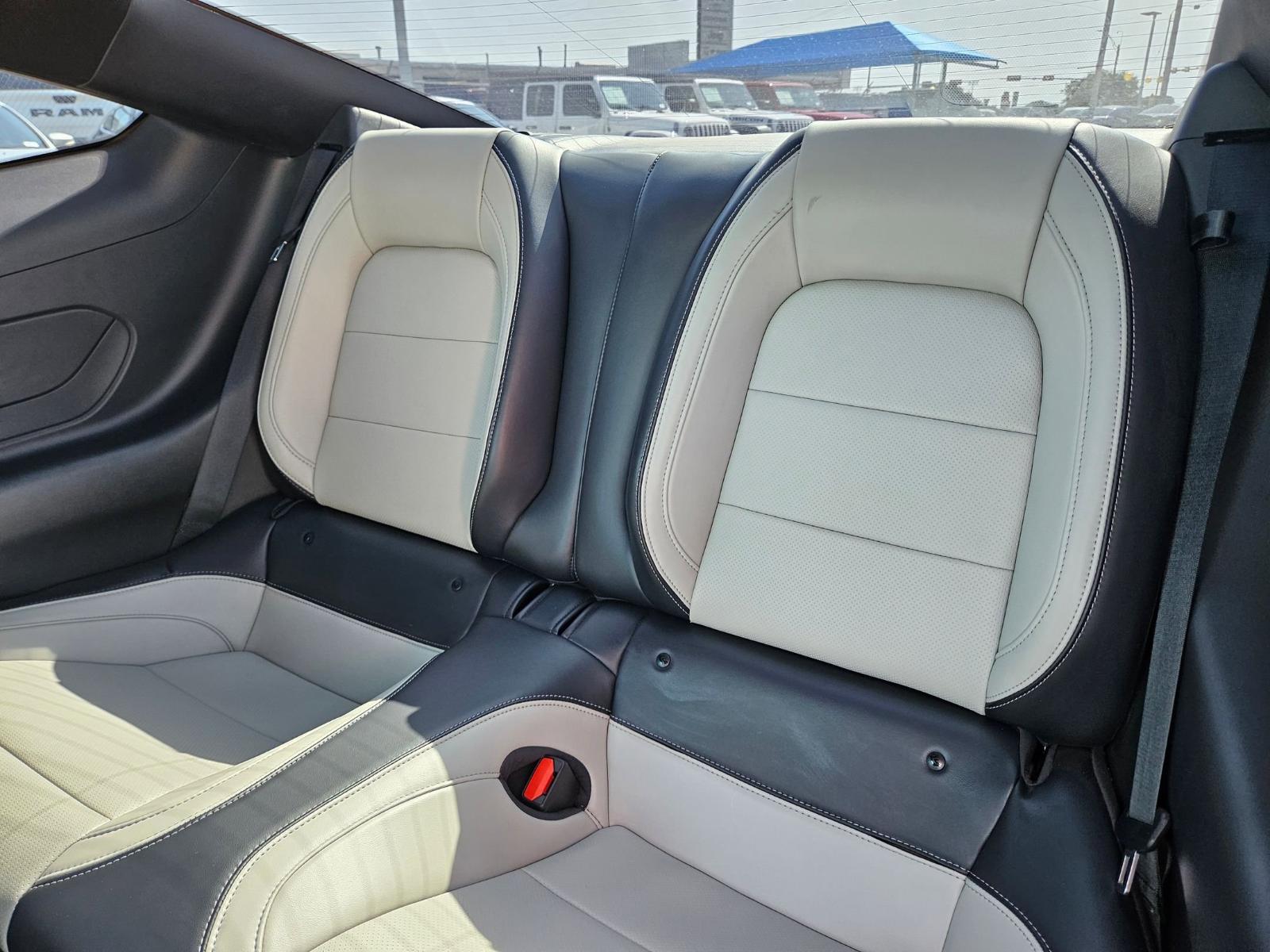 2024 Ford Mustang Vehicle Photo in Seguin, TX 78155