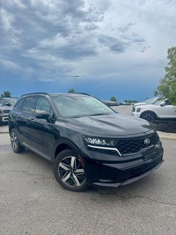 2021 Kia Sorento Vehicle Photo in Lees Summit, MO 64086
