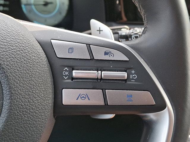 2024 Hyundai PALISADE Vehicle Photo in Philadelphia, PA 19116