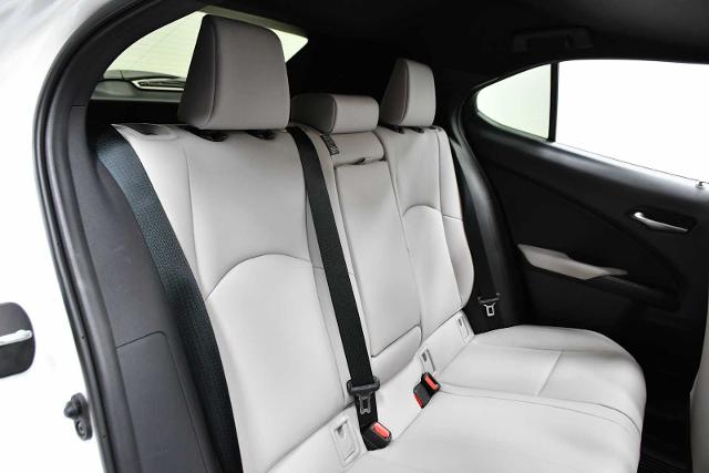 2024 Lexus UX 250h Vehicle Photo in DALLAS, TX 75235