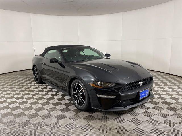 2022 Ford Mustang Vehicle Photo in PHOENIX, AZ 85014-3381