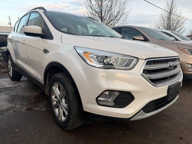 2017 Ford Escape Vehicle Photo in Appleton, WI 54914