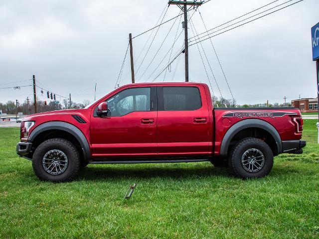 2019 Ford F-150 Vehicle Photo in MADISON, IN 47250-1611