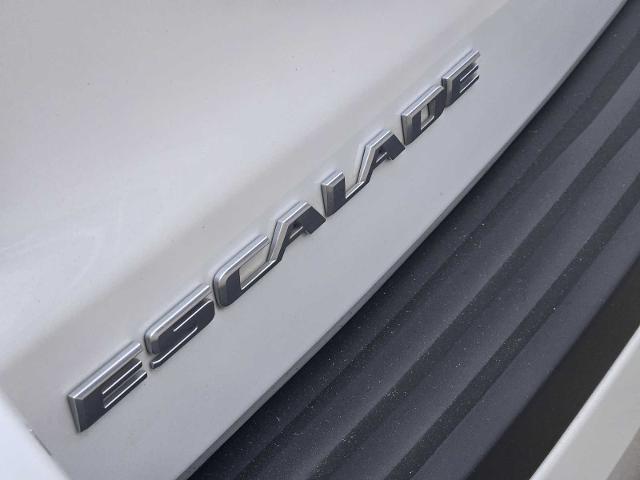 2020 Cadillac Escalade Vehicle Photo in DENTON, TX 76210-9321
