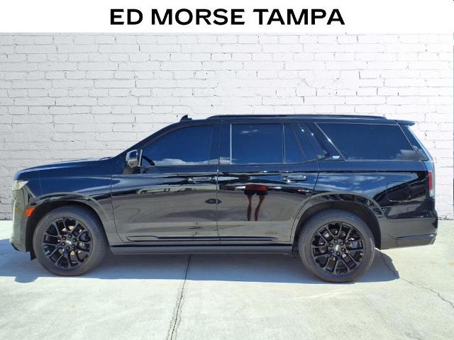 2023 Cadillac Escalade Vehicle Photo in Tampa, FL 33612
