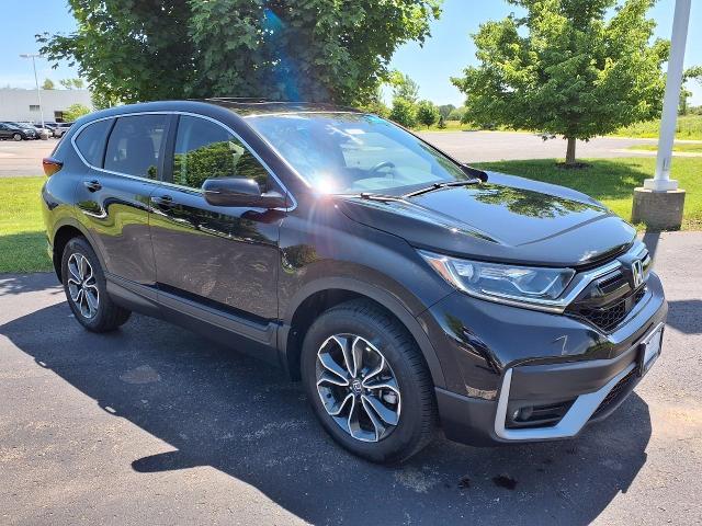 2021 Honda CR-V Vehicle Photo in Oshkosh, WI 54904