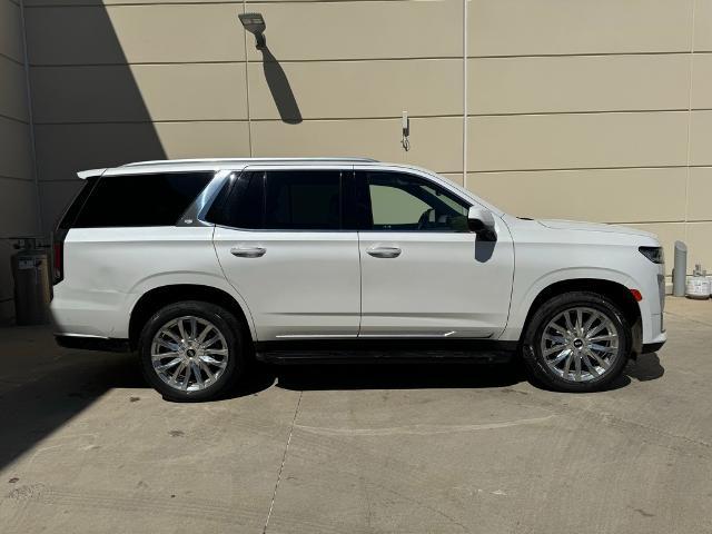 2023 Cadillac Escalade Vehicle Photo in Grapevine, TX 76051
