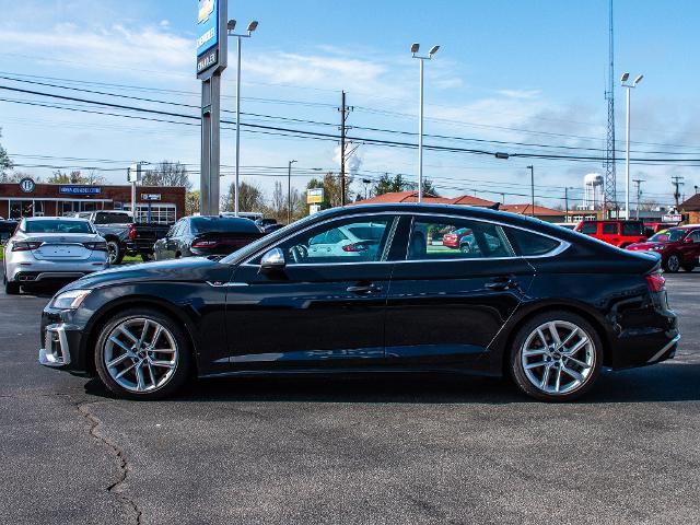 2021 Audi S5 Sportback Vehicle Photo in MADISON, IN 47250-1611