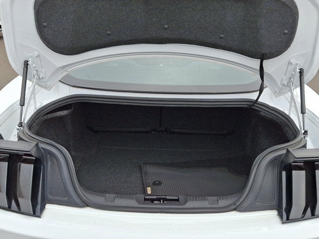 2021 Ford Mustang Vehicle Photo in Philadelphia, PA 19116